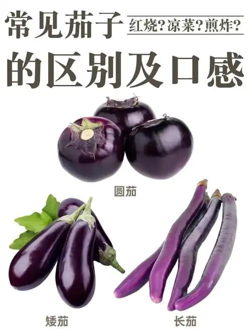 🍆茄子大揭秘:种类与美味烹饪法🍳