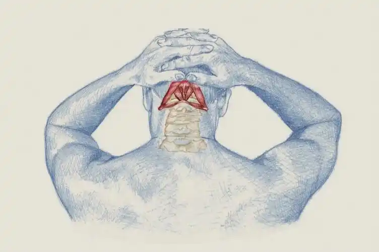 如何拉伸枕下肌群71