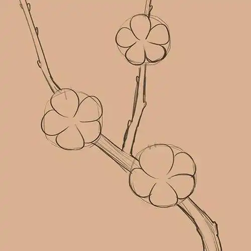 学画杏花,杏花儿童画