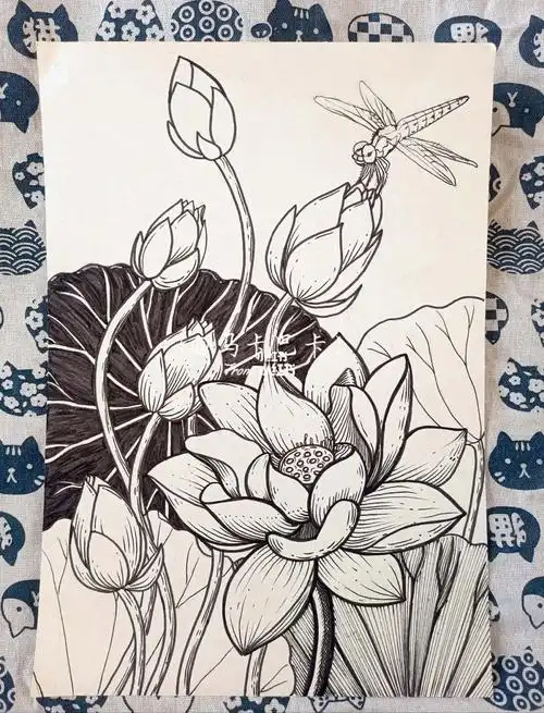 黑白线描装饰画荷花