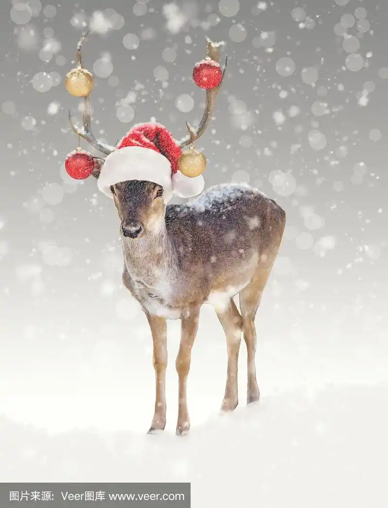 戴着圣诞帽的圣诞驯鹿