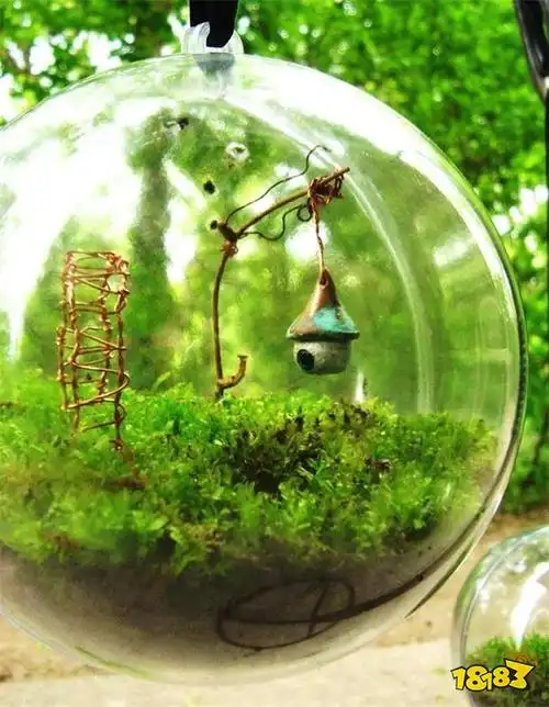 精灵之境评测温馨治愈的箱庭小世界