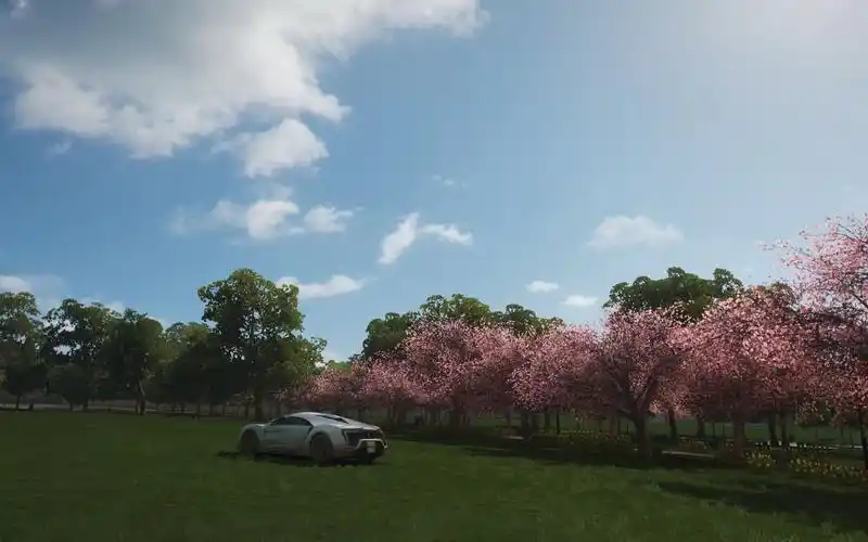 活动作品樱花小道具体位置地平线4