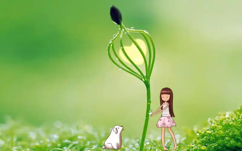 qq空间唯美背景图