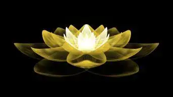 莲花 金色视频素材下载, 莲花 金色ae模板下载_光厂(vj师网)