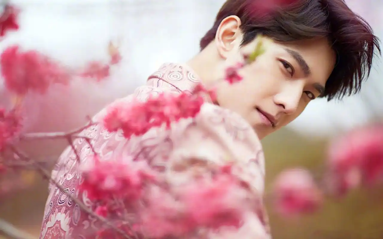杨洋桃花树下浪漫帅气写真图片桌面壁纸