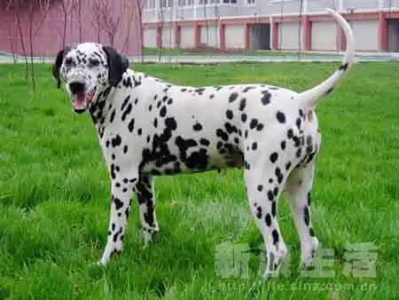 这次我可是怀孕一个月的时候 的哦!希望等我的宝宝出生了再