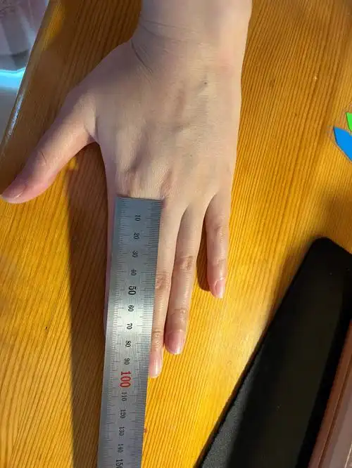 手指长度