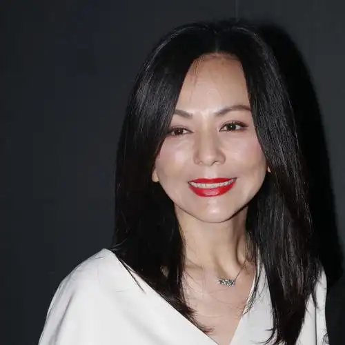 王琳:婚姻挫折成财富,五十三岁再登舞台,雪姨展现坚韧第二春 王琳