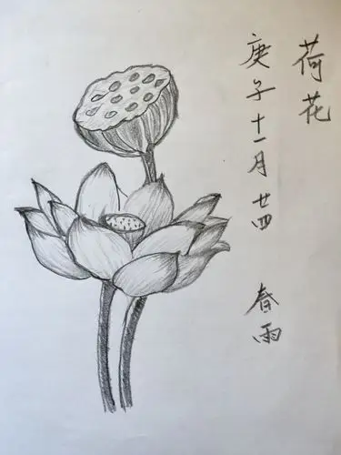 鸟与花香(88种经典黑白花鸟绘)