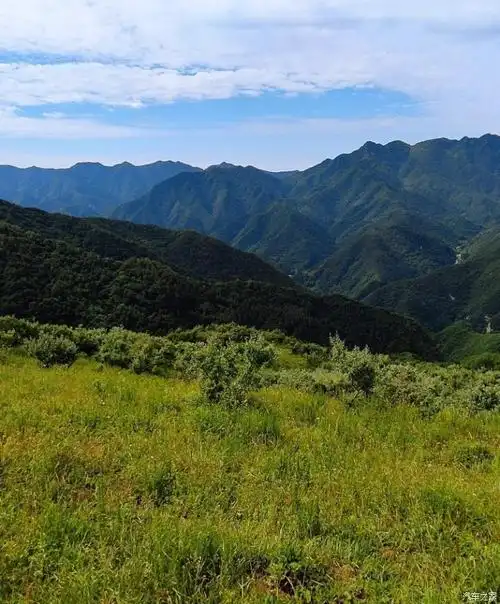 盛夏季节智美游玩秦岭的高山草甸