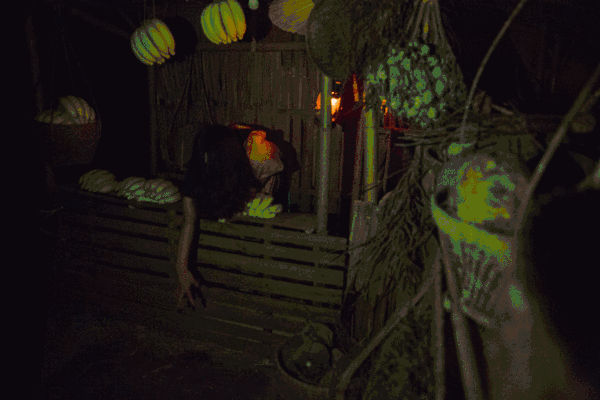 想起以前经常半夜一个人回寝室室友们都已经睡了……突然!