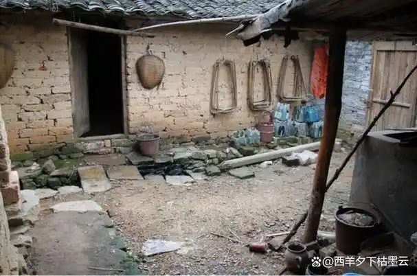 2017年,19岁养女金榜题名后却背着养父,与丢弃她的富豪爸相认