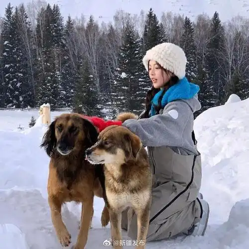 杨超越把拍照模板给大家了,大家怎么拍雪地照不用小
