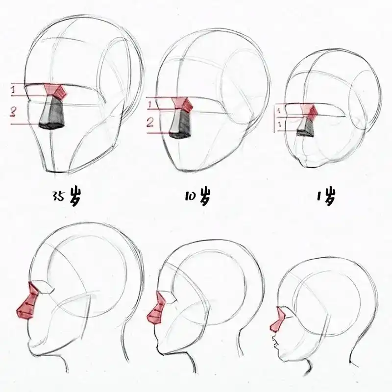 不同年龄阶段的面部比例.#一起学画画 #画画练习打卡 #每日 - 抖音