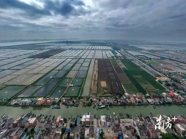 南方拍客看广东丨一周精选 暮春伴雨,初夏绚烂_南方网