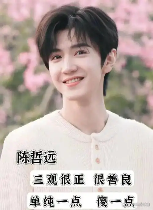 盘点内娱17位男明星的择偶标准谁是你的第一选择