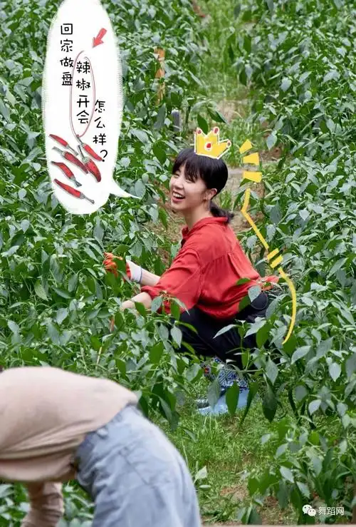 40岁孙莉参加向往的生活,背打得也太直了!学舞蹈的优势!