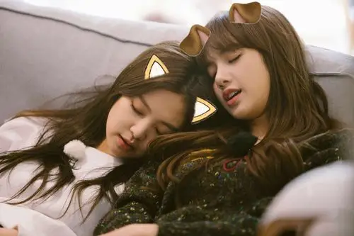 大家不喜欢下次就不用继续往下看了,不喜欢jennie和lisa组cp的现在走