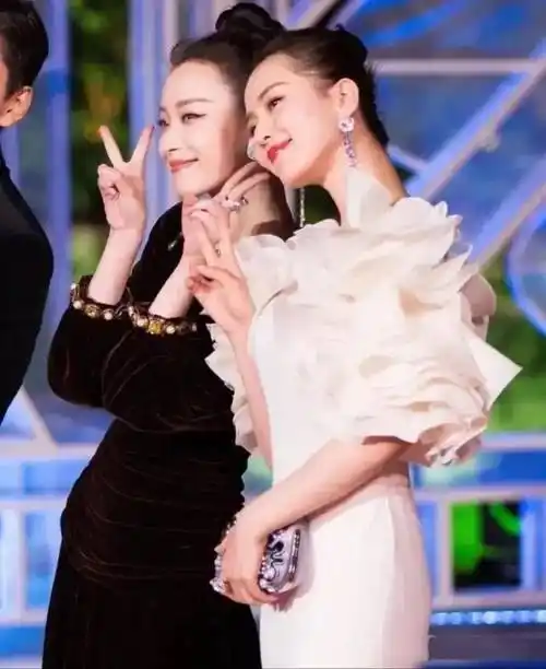 35岁刘诗诗和34岁倪妮同框,像黑白天鹅一般,高贵典雅,气质惊艳_造型