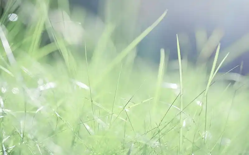 日系简约小清新唯美图片壁纸