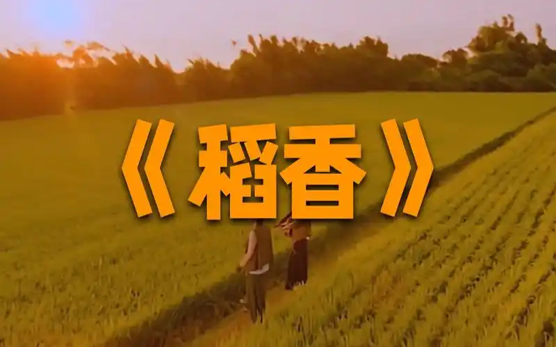 稻香因汶川地震创作的华语金曲周杰伦