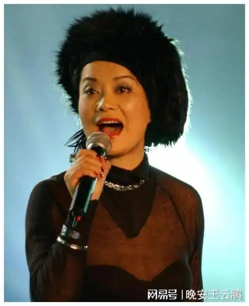 毛阿敏沉寂多年搞事业出道后首次参演湖南卫视综艺节目