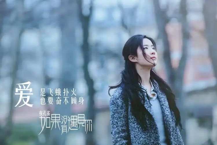 夜孔雀·如果没有遇见你