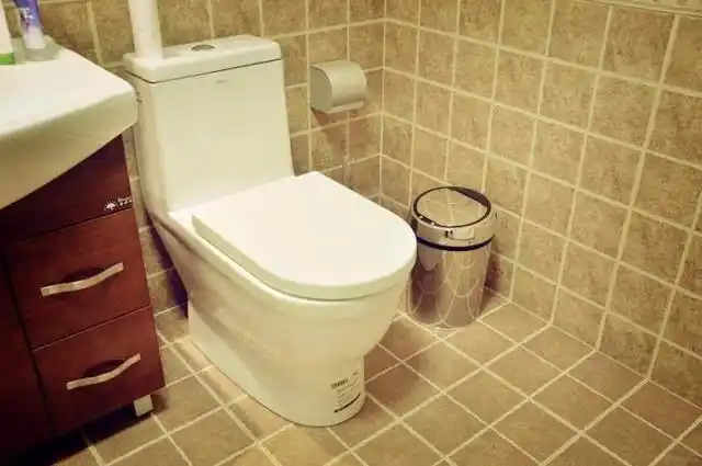 马桶:本来想买个自动的,后来想了想复古点吧,买个普通的,也还可以.