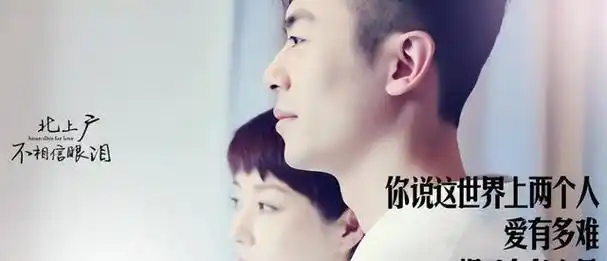 在2017年,由马伊琍与靳东共同主演的电视剧《我的前半生》,为马伊琍