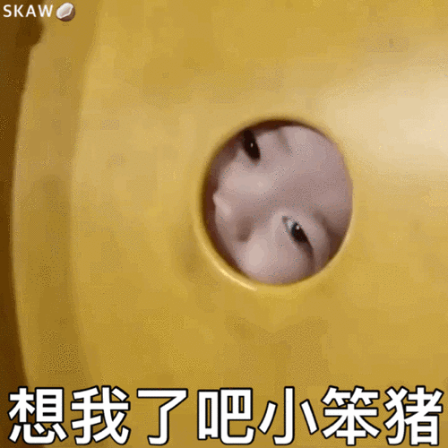 黄夏温表情包合集|想我了吧?小笨猪