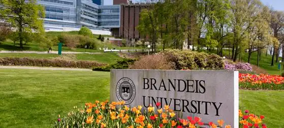 小堂说美本 | 布兰迪斯大学(院校篇)