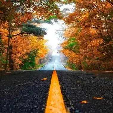 风景4k超耐看男生头像 风景大人风景头像男生4k超耐看男生头像风景