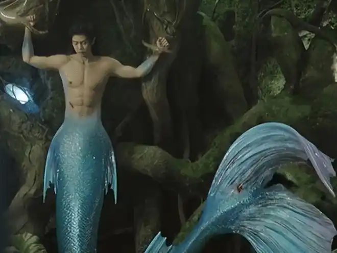 回忆那些年我们追过的美人鱼