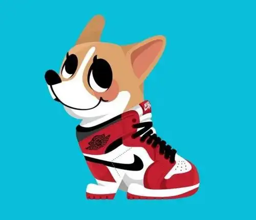萌萌哒的sneaker狗狗