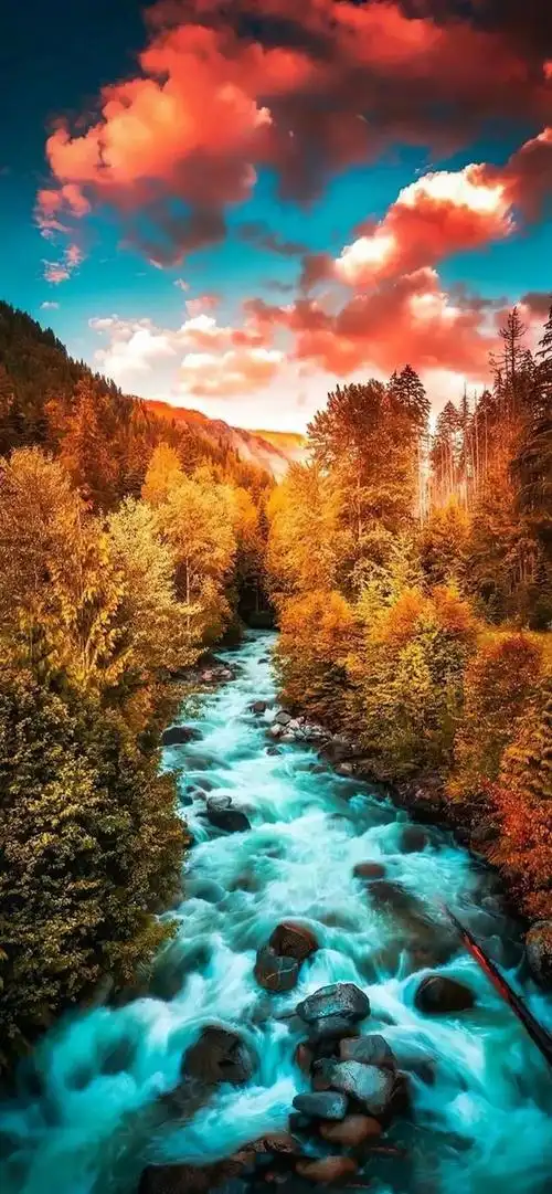 划走再看不到的高清8k壁纸,你的全屏壁纸,超级耐看 - 满屏照片壁纸