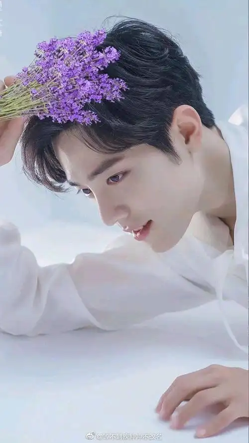 肖战美图专楼(暂定)