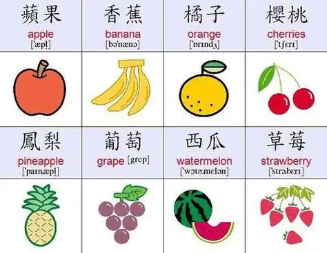 英语常用8000单词 简单的英语单词