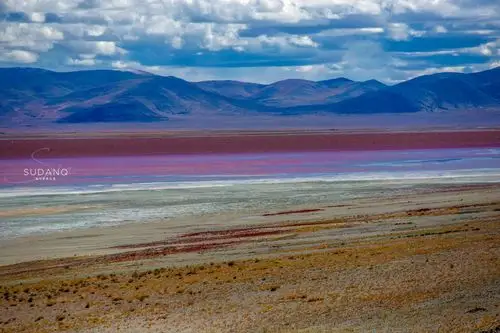 羌塘无人区的罕见风光:扎布耶茶卡,西藏唯一的粉红色湖泊_盐湖