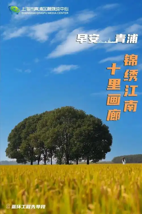 早安青浦|锦绣江南,十里画廊