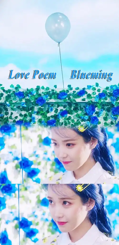 iu 手机壁纸 blueming