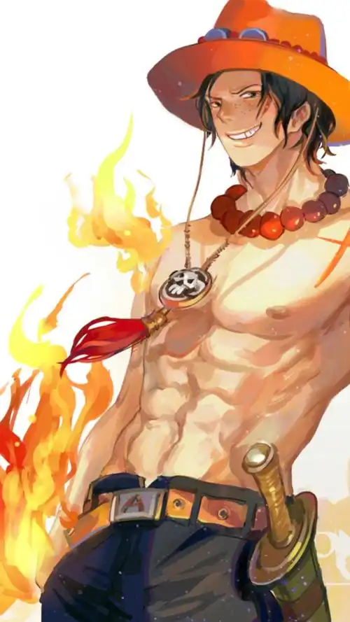 《海贼王》艾斯