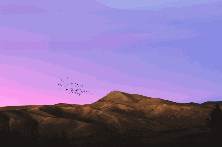 win10x有望下半年推动态壁纸功能对配置提出新考验