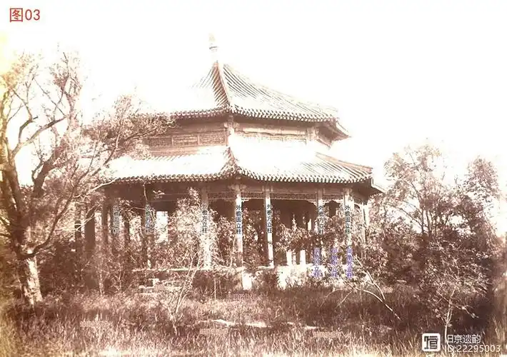 "顺木天"位于圆明园西北角"紫碧山房"的东边,汇芳书院的北边(图01).