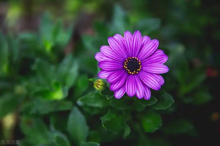 抖音很潮很酷的短句抖音简短精辟的句子精选60句