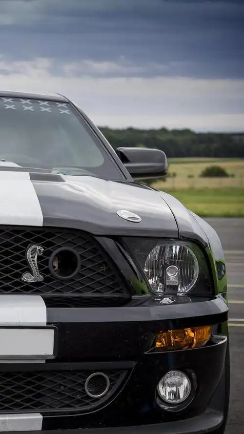 这个价位野马怎么样眼镜蛇系列