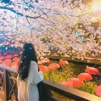 最新版2020唯美的头像女生背影图片 我们都努力变得优秀