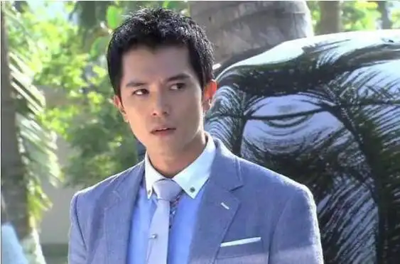 台湾十大80后男演员彭于晏第一周渝民郑元畅上榜3