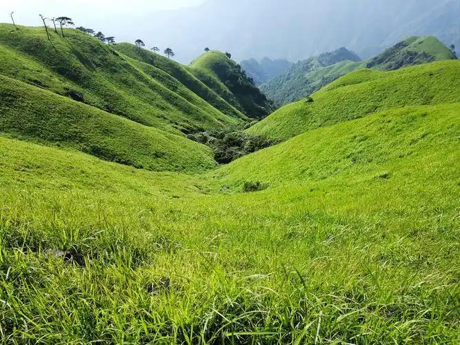 高山草甸_游侠客摄影网_摄影旅游网站