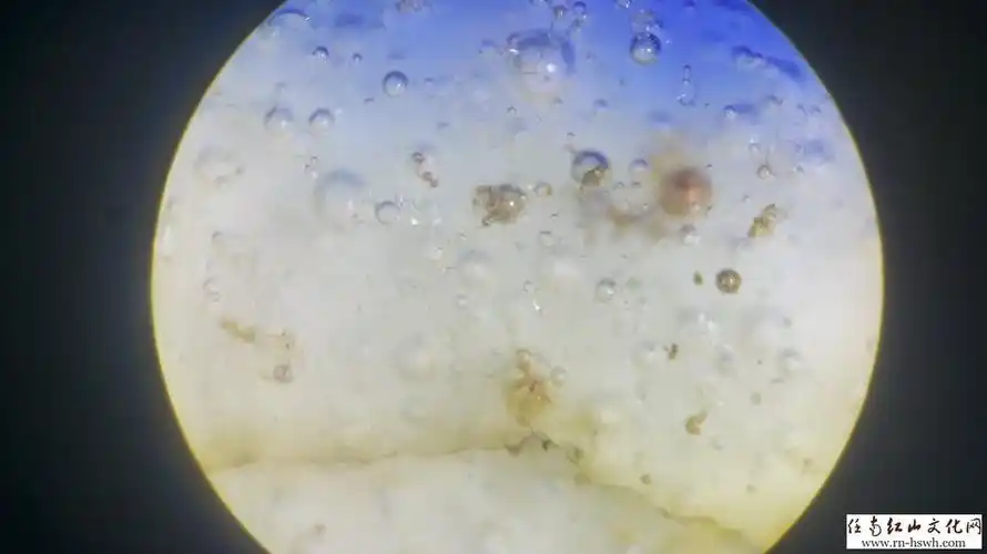 绝杀赝品——瓷器死亡气泡鉴定方法